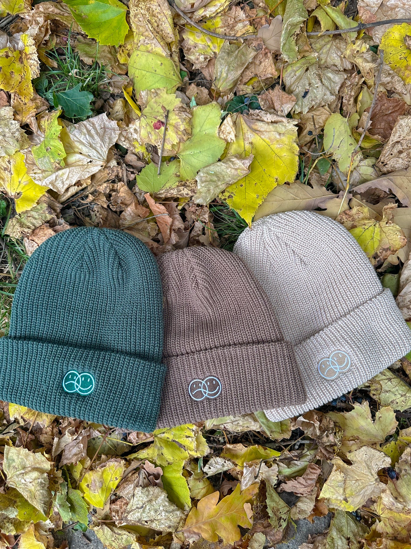 Alpine Knit Beanie